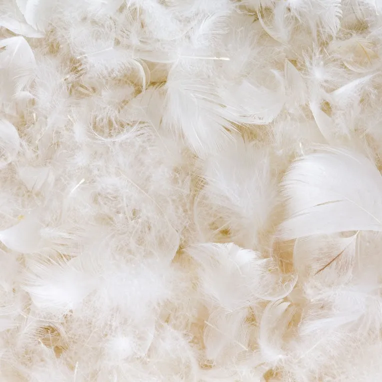 Bulk Buy 30% Duck Down 70% Duck Feather