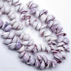 Cebu Beauty Shell Cone/Head 8mm-12mm (8-Inch Strand)