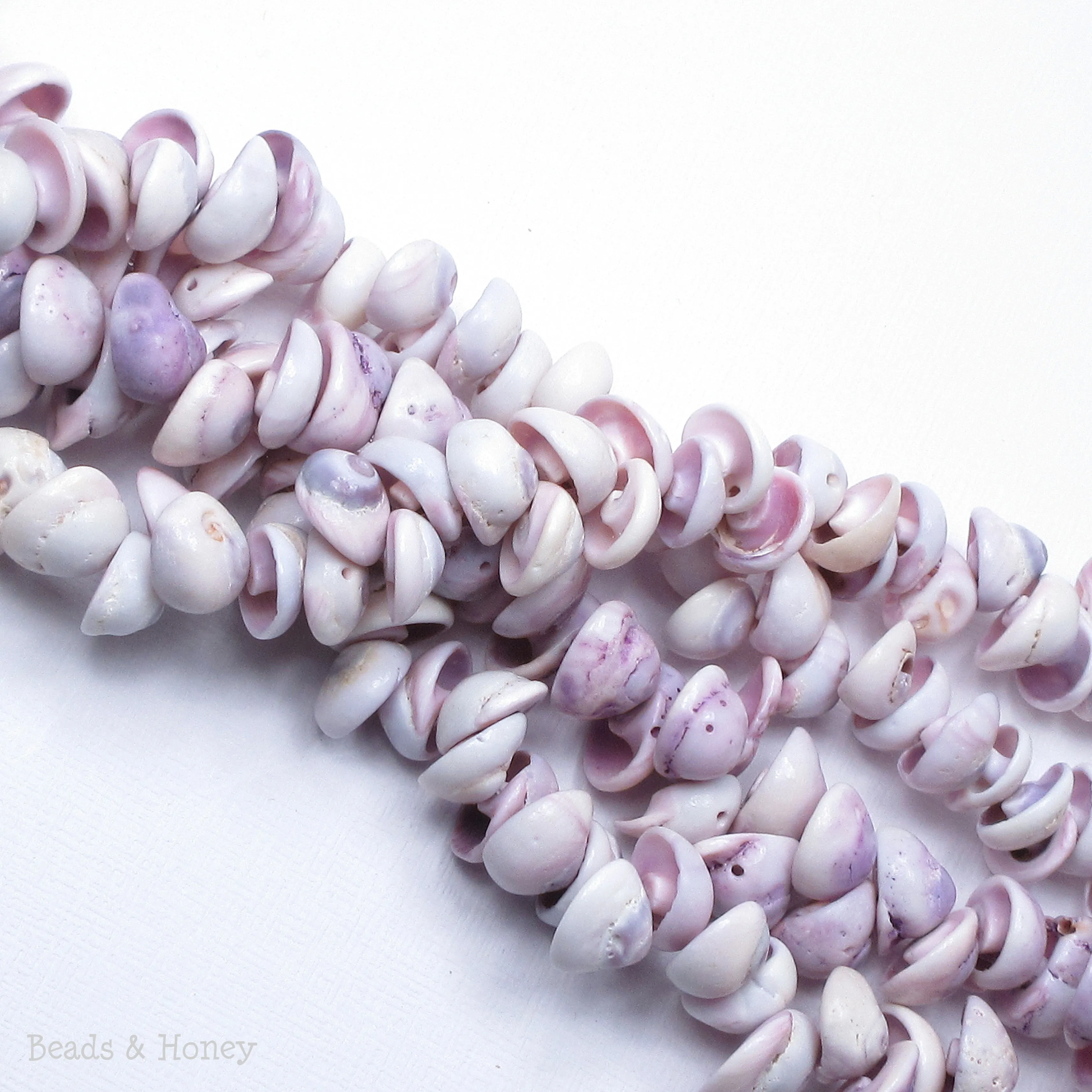 Cebu Beauty Shell Cone/Head 8mm-12mm (8-Inch Strand)