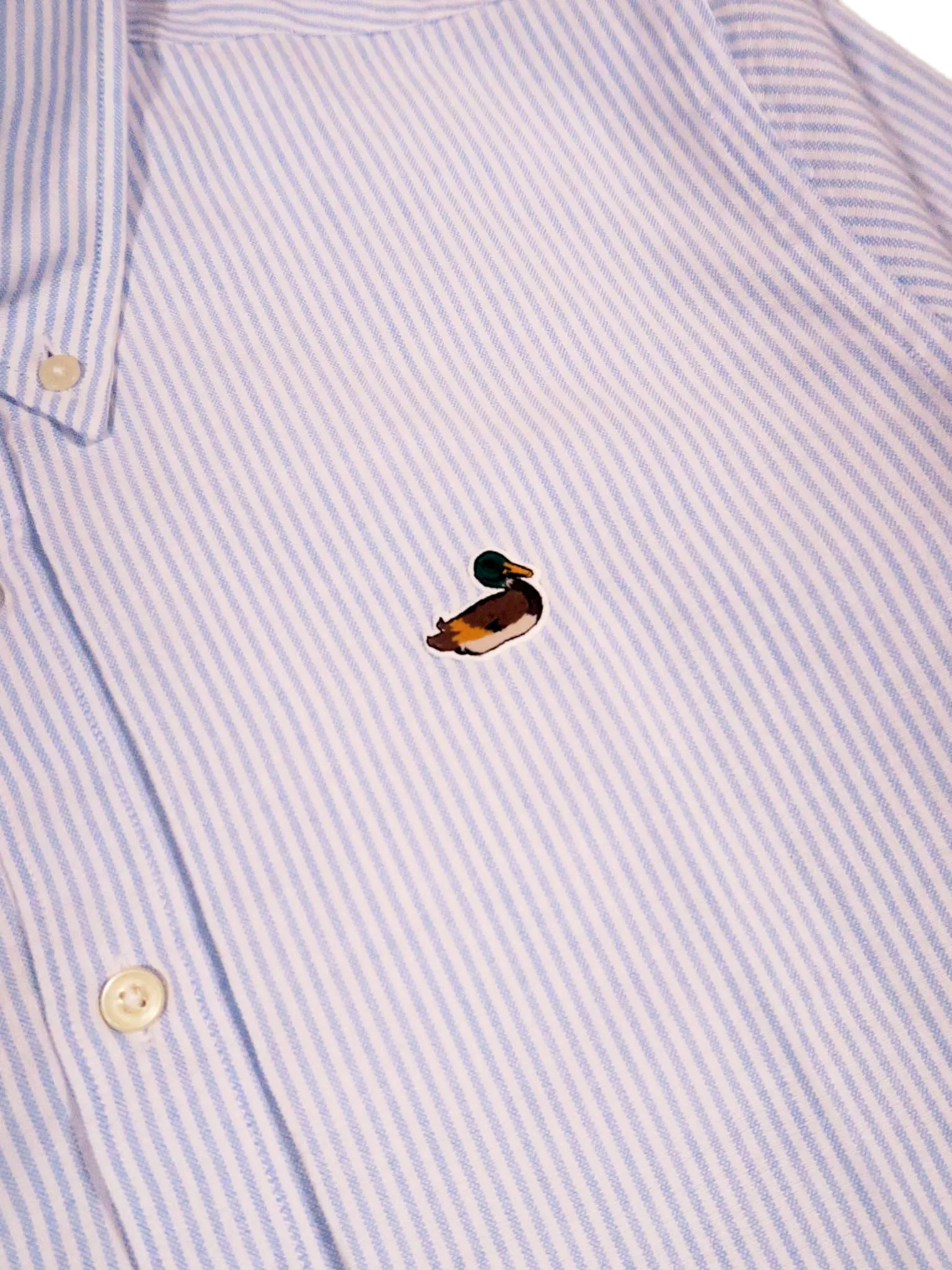 Edmmond Studios BD Striped Duck Shirt in Light Blue