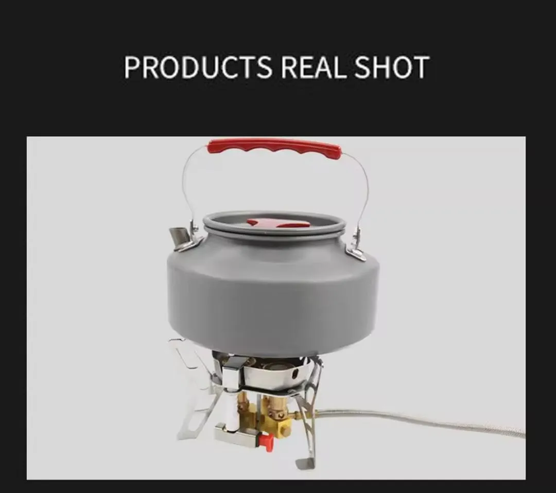Powerful Outdoor Gas Stove 6800W