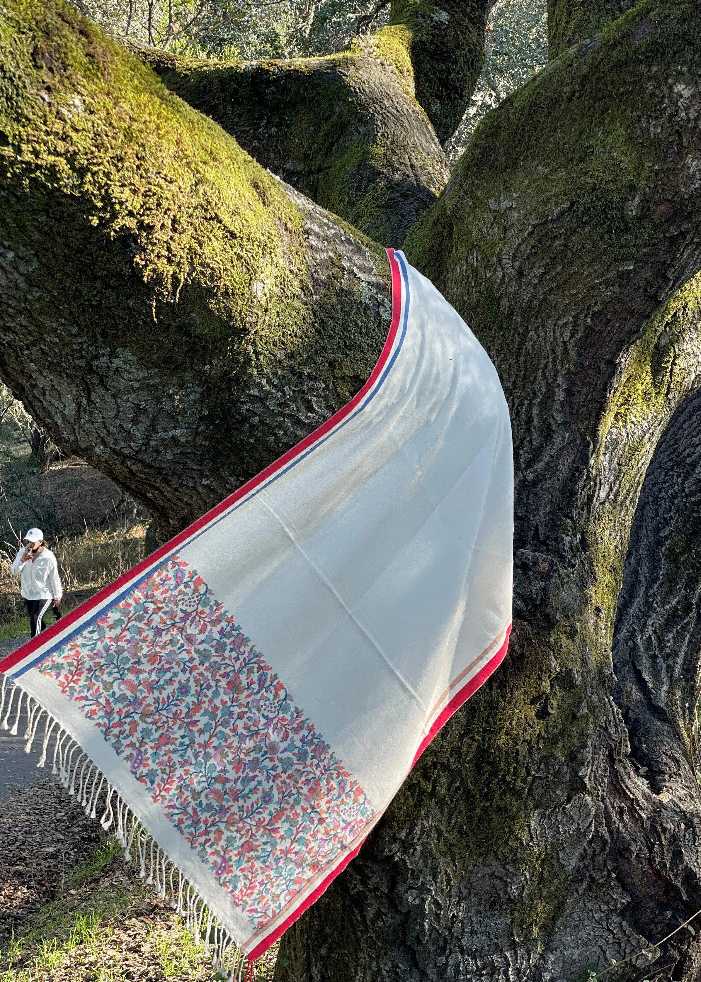 SOFT WOOL WITH KANI BORDER