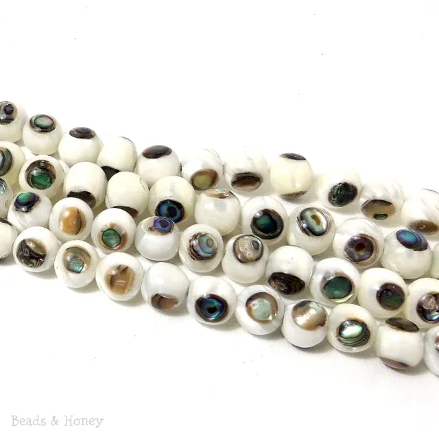 White Troca Shell with Abalone Shell Inlay Round 8mm (Half Strand)